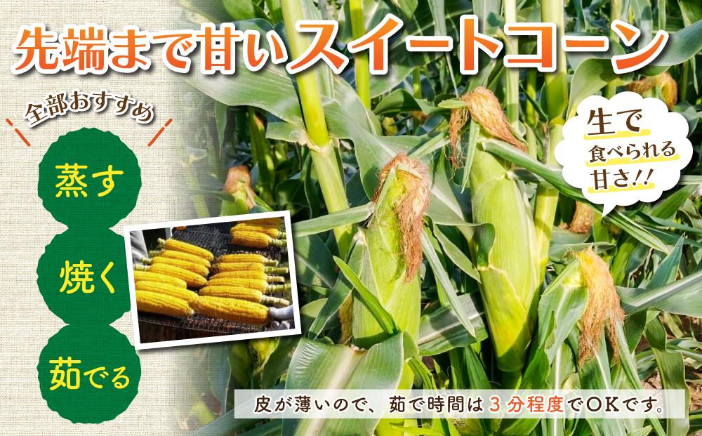 先行受付2025年発送！東御市産とうもろこし 8本｜フルーツみたいなイエロースイートコーン(ゴールドラッシュ又はプレミアム未来) ※7月中旬～9月上旬お届け