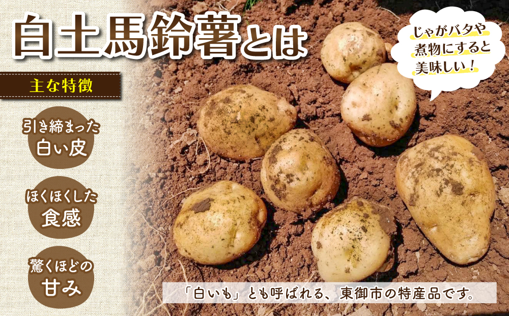 東御市産白土馬鈴薯約５kg【8～12月お届け】