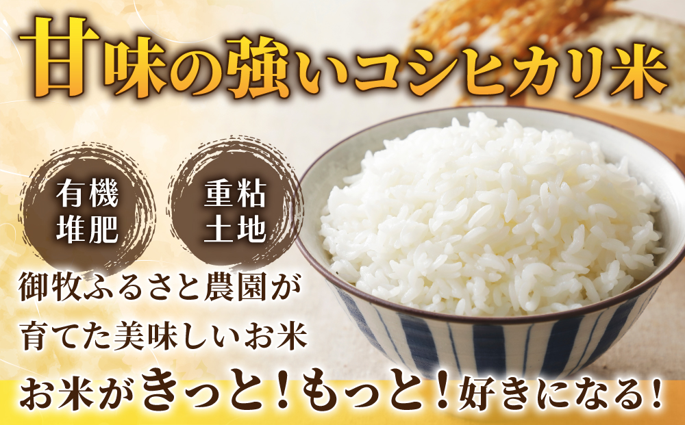【先行受付2025年発送】御牧の好米人（コシヒカリ）白米５kg　｜※2025年9月下旬以降、発送開始予定　※着日指定不可