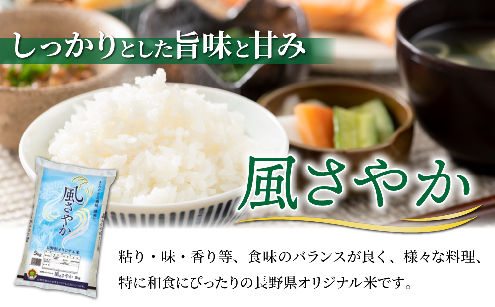 【R7年産新米】東御市産おいしいお米「風さやか」約10kg｜国産 長野県産 お米 こめ 白米 ※2025年10月以降順次発送