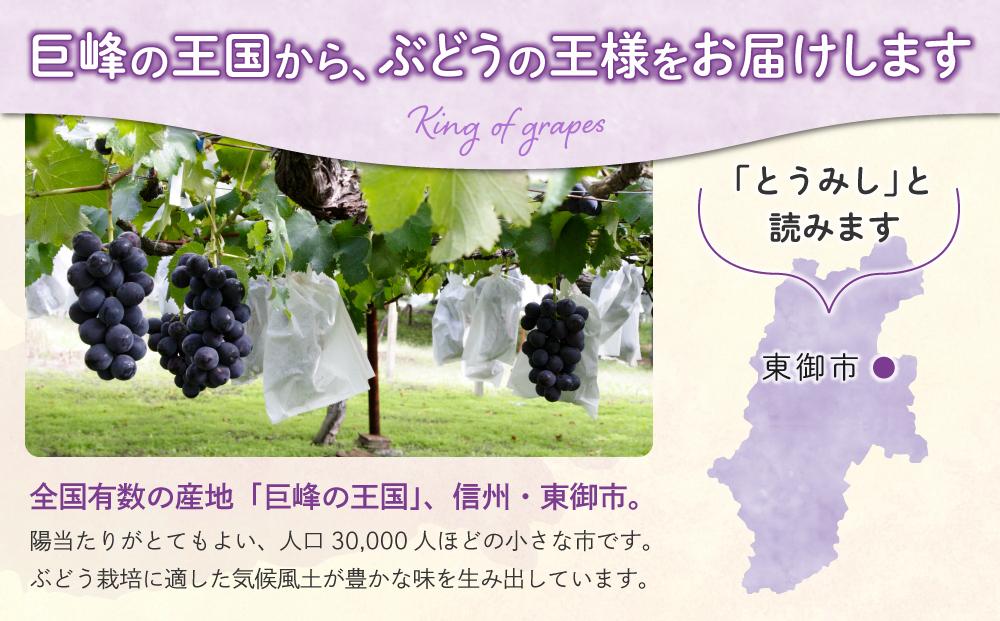 【先行受付2026年発送】東御市産種あり巨峰約2kg（4～6房）　※9月上旬～10月上旬頃お届け予定
