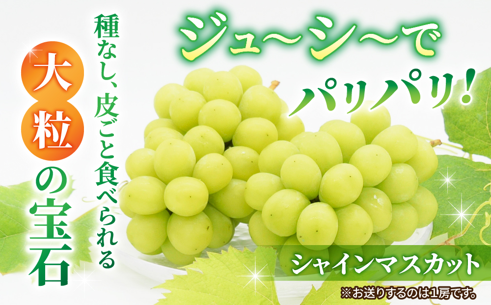 【2025年発送】東御市産シャインマスカット＆クイーンニーナのセット｜長野県 長野 人気 ぶどう 贈答用 ギフト ２房 フルーツ 果物 おすすめ 厳選 種無し