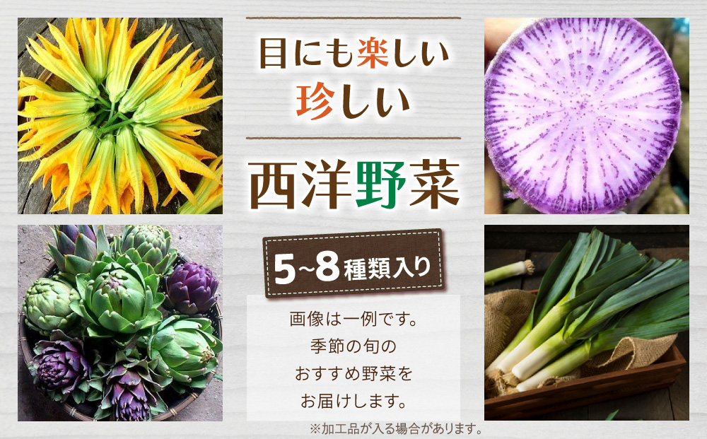 【４回定期便】季節のお野菜セット（２~３人様向け）｜アグロノーム