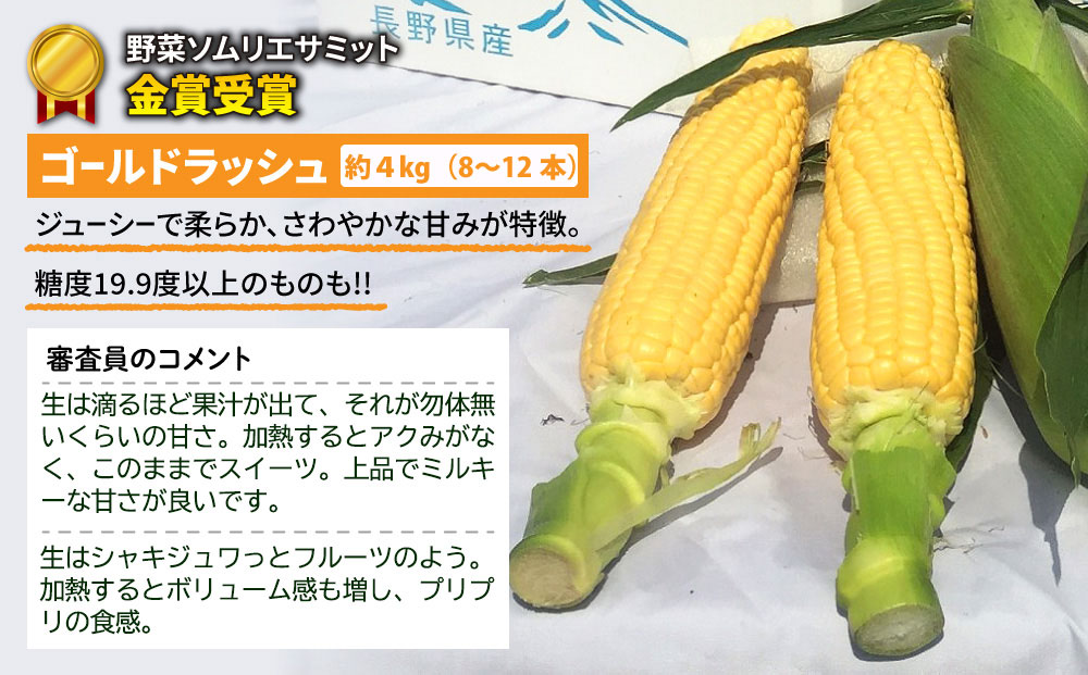 【先行受付2025年発送】野菜ソムリエサミット金賞受賞！東御市産とうもろこし（ゴールドラッシュ）約4kg（8~12本）｜スイートコーン ※2025年7月上旬頃~9月中旬頃に順次発送予定※着日指定不可