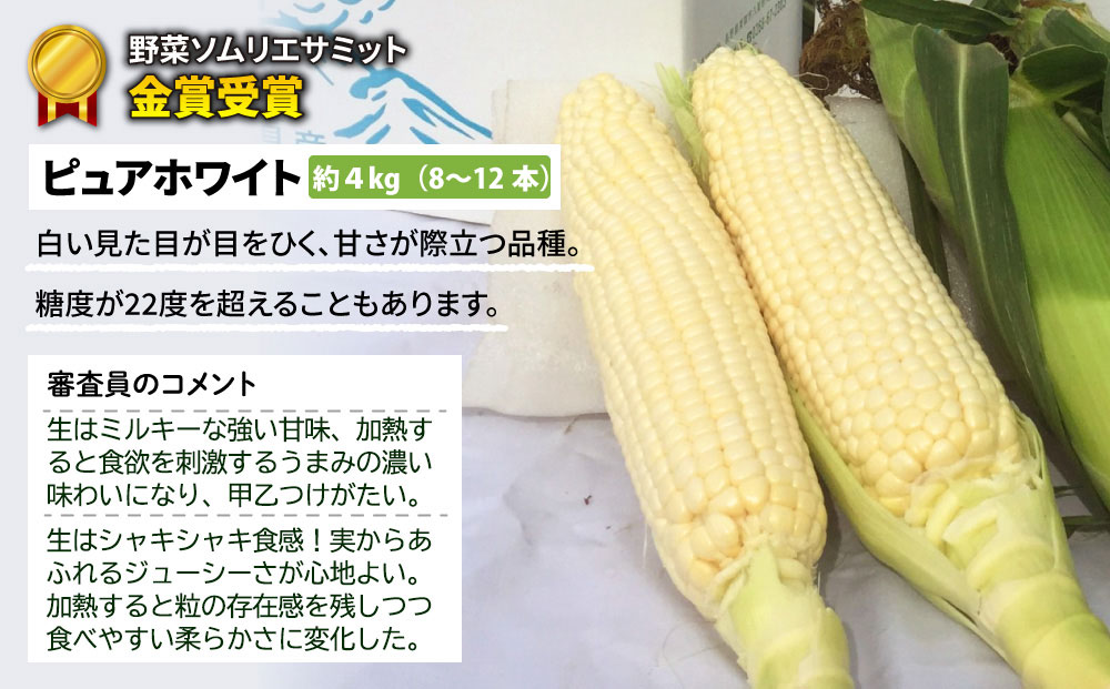 【先行受付2025年発送】野菜ソムリエサミット金賞受賞！東御市産とうもろこし（ピュアホワイト）約4kg（8~12本） | スイートコーン※2025年7月上旬頃~9月上旬頃に順次発送予定※着日指定不可