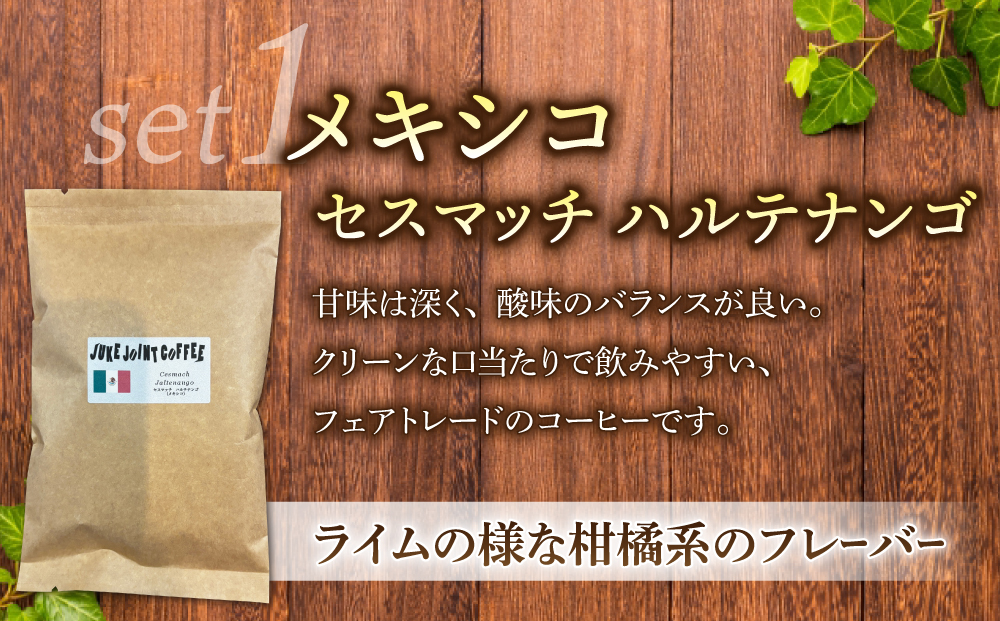【豆のまま】産地違いコーヒー豆　3種類飲み比べ （メキシコ/東ティモール/ブラジル）各100g｜テルミナリアコーヒー