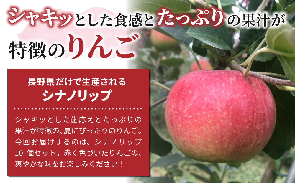 【ひかるの畑】個数限定！長野県オリジナルりんご「シナノリップ」約3kg