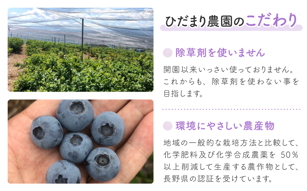 完熟ブルーベリージュース１L（ひだまり農園ブルーベリーの丘）