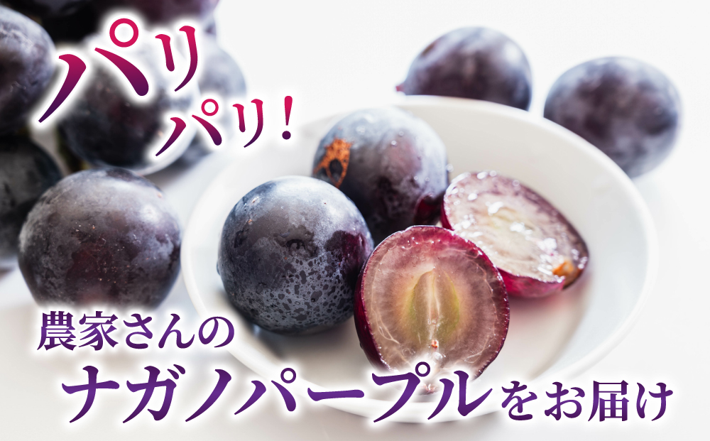 ナガノパープル ご家庭用 約900g～1kg（2～5房）※月、火、金曜日発送限定。発送日、発送曜日指定不可。