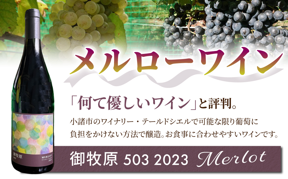 【おいしい農園】メルローワイン「御牧原503」1本