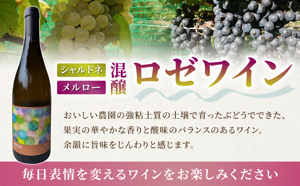 【おいしい農園】ロゼワイン「御牧原504」1本