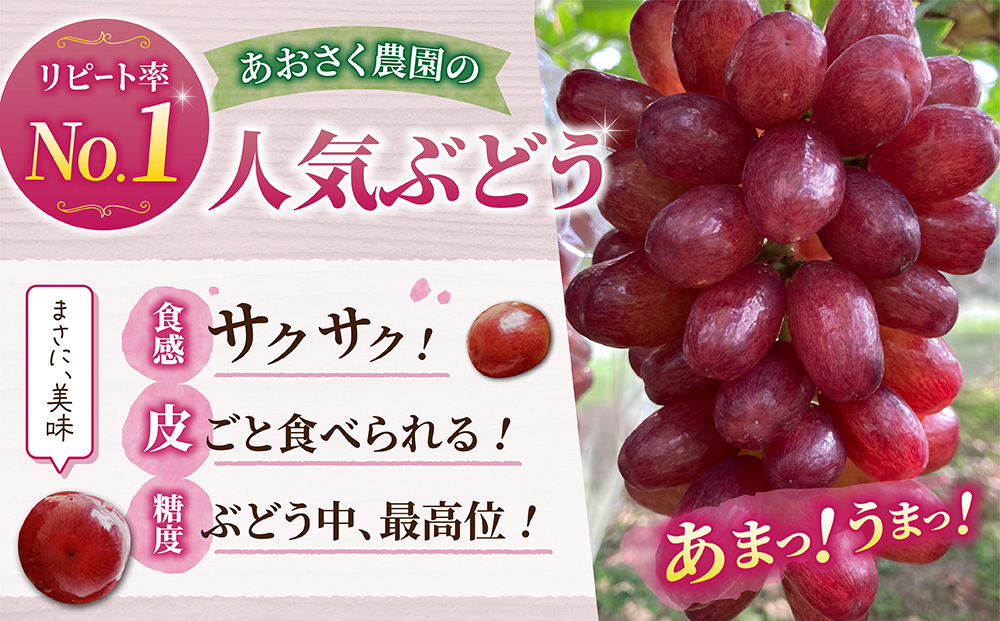 【あおさく農園】2種の種なしぶどうセット（クイーンセブン・シャインマスカット）合計5房セット　※2025年9月中旬以降発送予定｜農薬削減