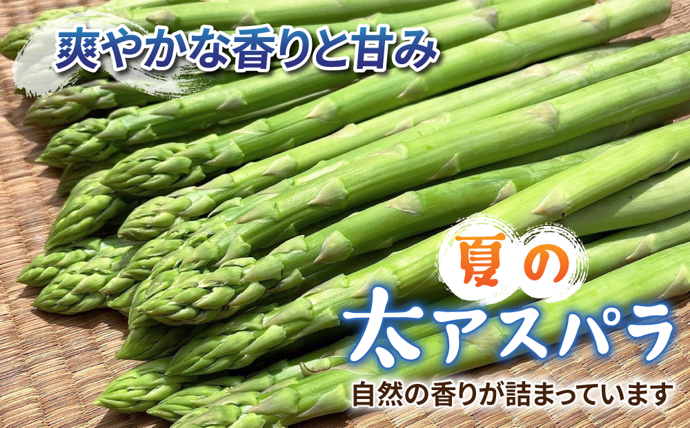 先行予約2025年発送【のららぼ農園】農家直送！新鮮！夏獲れ太（L～2L）アスパラ1kg（およそ25～35本）※2025年7月上旬～9月上旬発送予定