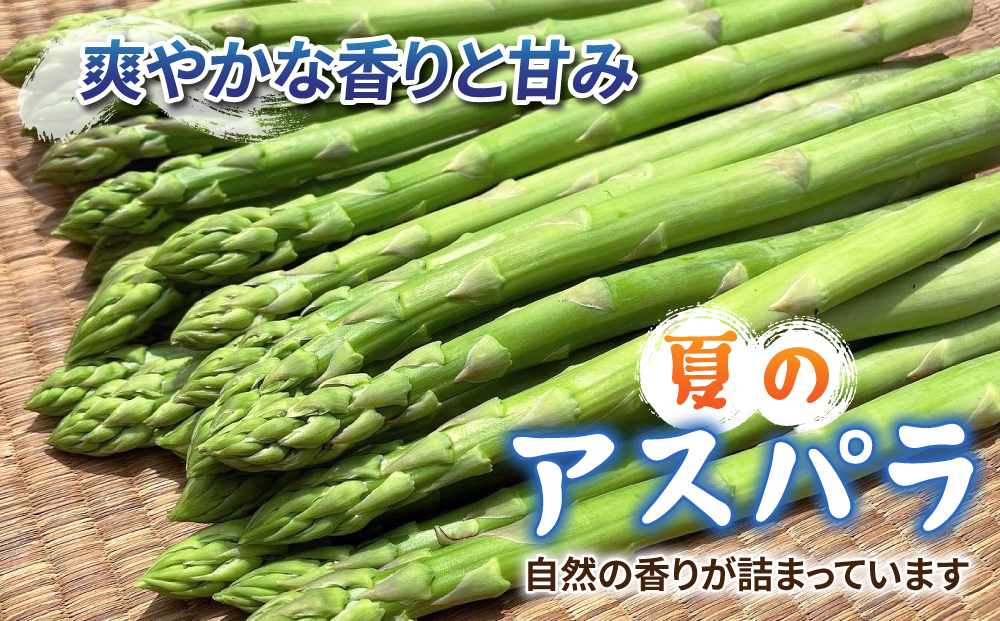 【先行受付2026年発送】農家直送！新鮮！夏獲れ細（M～L）アスパラ約1.2kg（およそ40～60本）｜のららぼ農園 ※2026年7月上旬～9月中旬発送予定