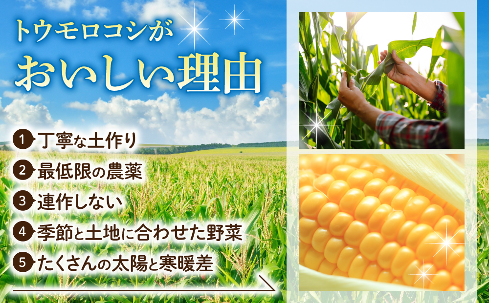 先行予約【里山JAPAN】生でもすごく甘い！生きた土壌で育った『とうもろこし』2Lサイズ12本｜2025年7月以降発送予定