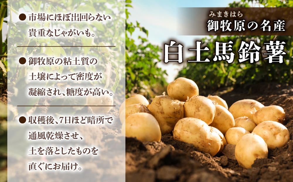 先行受付【里山JAPAN】長野県産新じゃがいも 生きた土壌で育った『白土馬鈴薯10・』｜2025年7月?8月発送予定