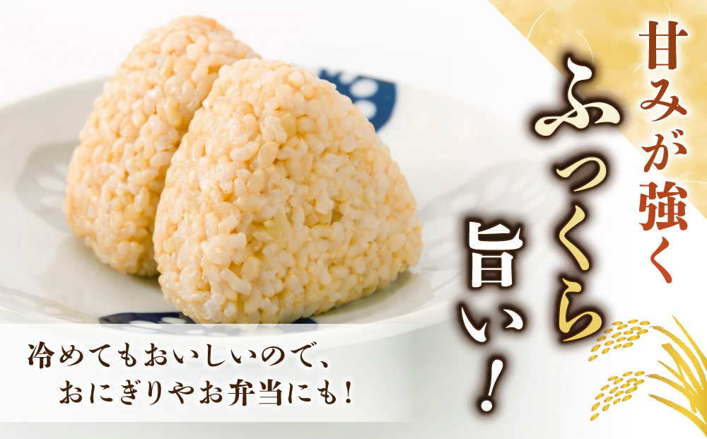 【里山JAPAN】長野県産！生きた土壌で育った御牧原米こしひかり 玄米（令和7年産）　10kg（5kg×2袋）｜2025年10月上旬以降に発送予定