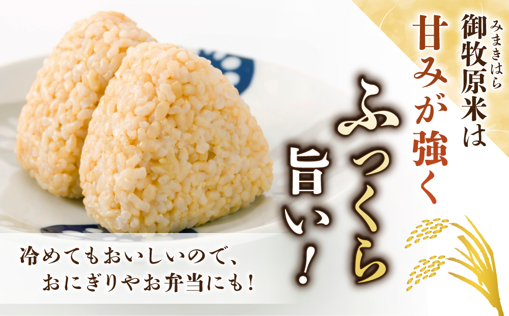 【里山JAPAN】長野県産！生きた土壌で育った『御牧原米こしひかり 玄米5kg』と小田切牧場ビーフカレー、ビーフシチューセット｜2025年10月上旬以降に発送予定