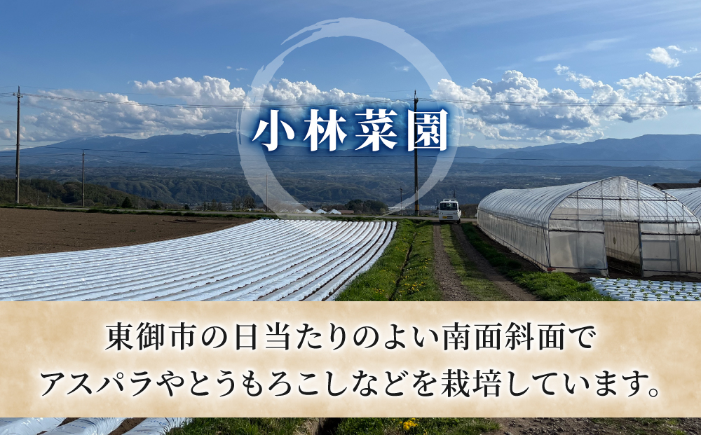 【先行受付2026年発送】農家直送！とうもろこし（ゴールドラッシュ）12本｜小林菜園 ※2026年8月上旬以降発送予定