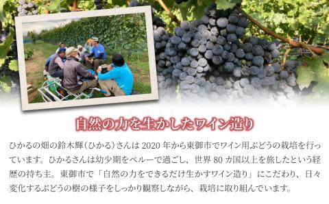 【ひかるの畑】赤ワイン・ロゼワイン３本セット｜お酒 飲み比べ