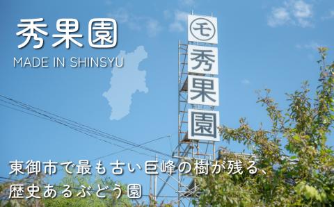 【先行受付2025年発送】種あり巨峰と旬のおすすめ品種（１房） 計5~6房 （約2kg）｜秀果園　※2025年9月～10月順次発送
