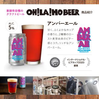 ゴールデンエール＆アンバーエール10本セット クラフトビール 飲み比べ
