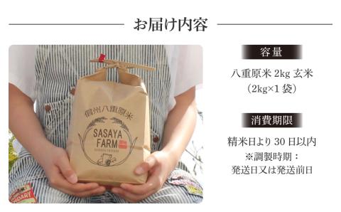 令和7年新米予約！八重原米2kg（2kg×1袋）玄米　※2025年10月以降順次発送｜笹屋農園「農薬削減長野県認証取得」