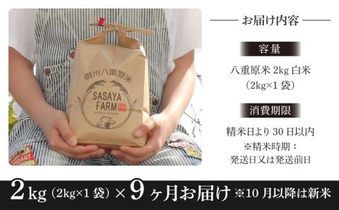 令和7年新米予約【9回定期便】八重原米2kg（2kg×1袋）白米　※2025年10月以降順次発送｜笹屋農園「農薬削減長野県認証取得」