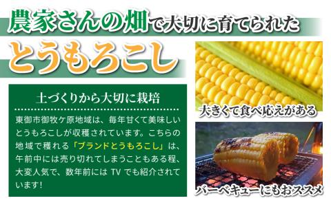 生とうもろこし 2L 12本 有機肥料使用のスイートコーン！ 長野県東御市産 ※7月中旬から順次発送予定※発送曜日指定不可