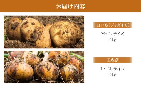 【先行受付2025年発送予定】白いも(M?Lサイズ）と玉ねぎ（L?2Lサイズ）各5・｜じゃがいも【数量限定】詰め合わせ※2025年8月下旬～10月下旬に順次発送予定※着日指定不可