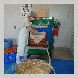 「トロワジエーム」シードル3本セット／発泡性リンゴのお酒 | りんご 500ml 3種