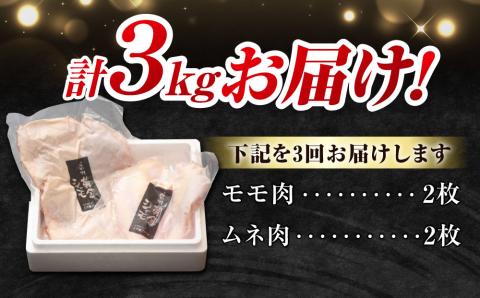 【3回定期便 】信州黄金シャモモモ・ムネ肉セット