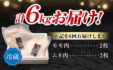 【6回定期便 】朝びき！信州黄金シャモモモ・ムネ肉セット