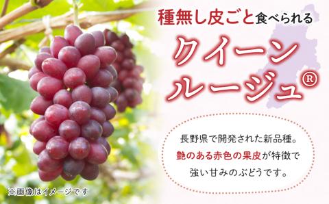 【2025年発送】東御市産クイーンルージュ(R)＆シャインマスカットのセット ※9月中旬?10月中旬頃発送