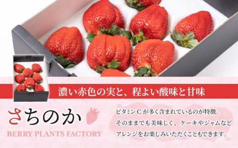 【BERRY PLANTS FACTORY】大粒いちご！「とちおとめ」と「さちのか」のセット