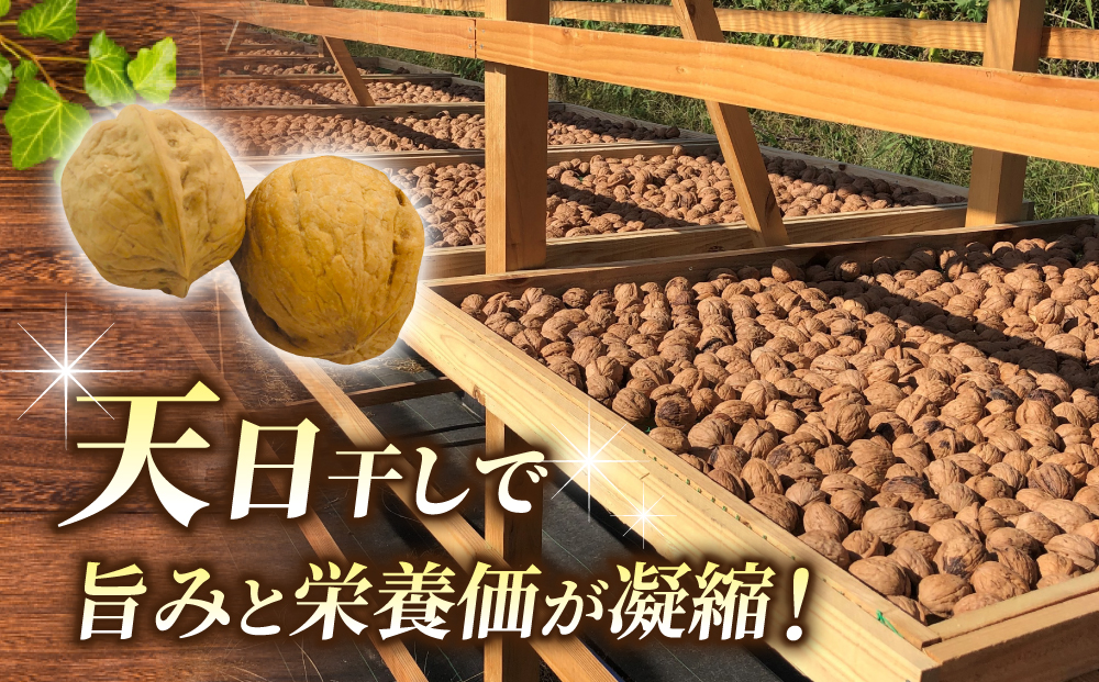 【アルファーム】信濃くるみ　殻付きタイプ（Mサイズ）