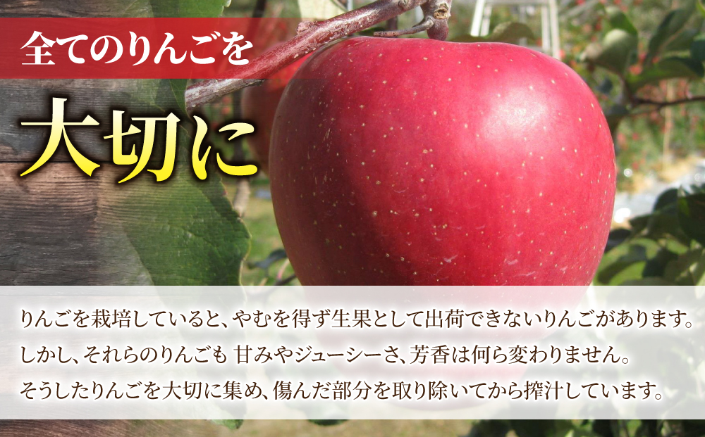 100％りんごジュース「ひだまりの雫」　1000ml×2本【花岡果樹園】