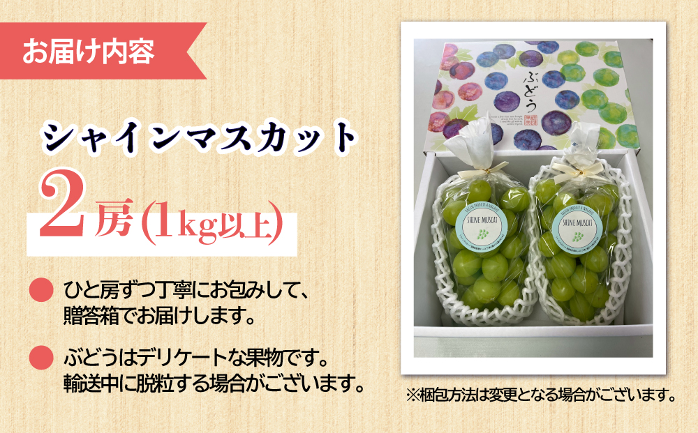 【先行受付2026年発送】シャインマスカット プレミアム 2房、1kg以上｜Jardin Omino　※2026年9月上旬〜10月中旬に発送予定