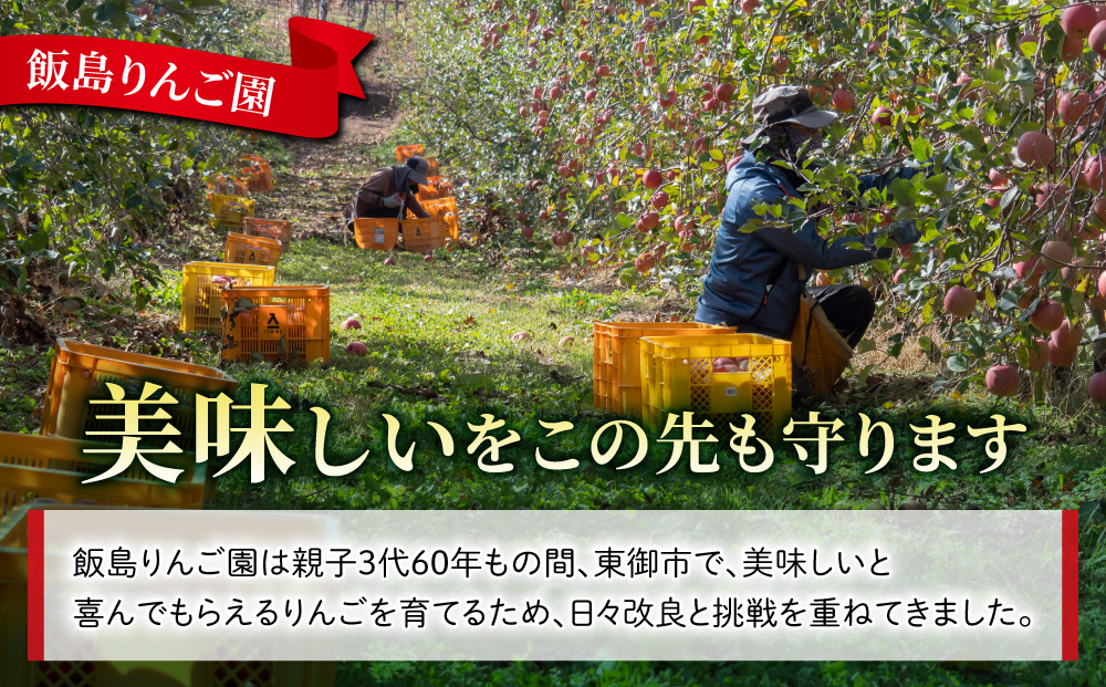 【飯島りんご園】果汁100％りんごジュース（シナノゴールド）３本