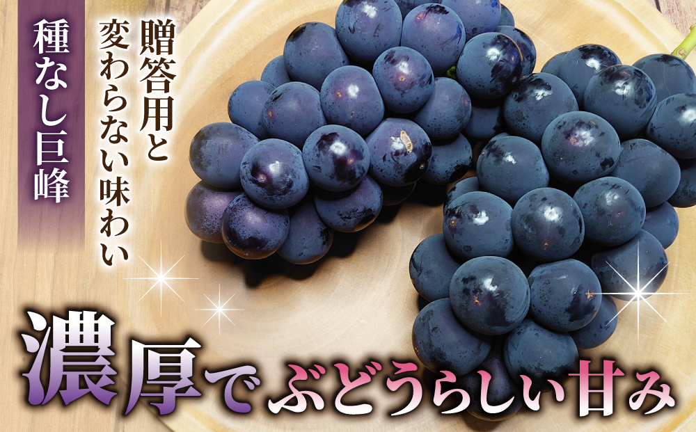 2026年先行受付【おがわら農園】家庭用欲張りセット！（シャインマスカット1～2房・種無し巨峰1～2房）約850～900g※2026年9月上旬以降発送予定 おがわら農園