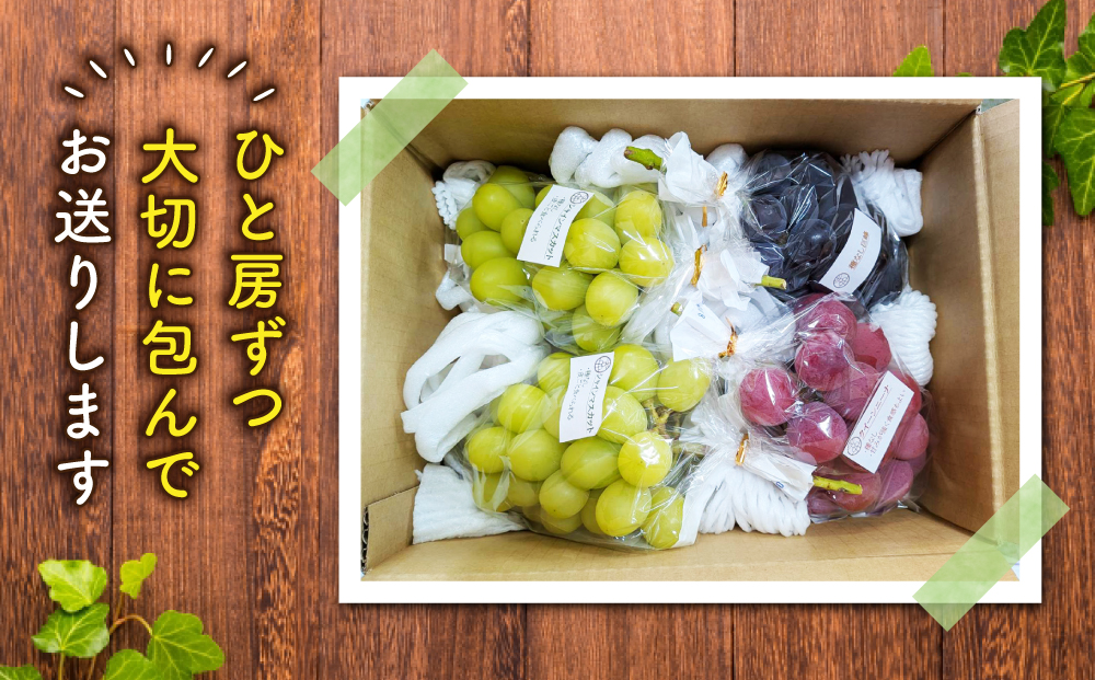 2026年先行受付【若林農園】シャインマスカットと旬の3種のぶどう詰め合わせセット 約2kg｜シャインマスカット、クイーンニーナ、クイーンルージュ(R)、シナノスマイル、種なし巨峰、ナガノパープル、雄宝など 3～5房（3種）※2026年9月中旬～10月中旬順次発送