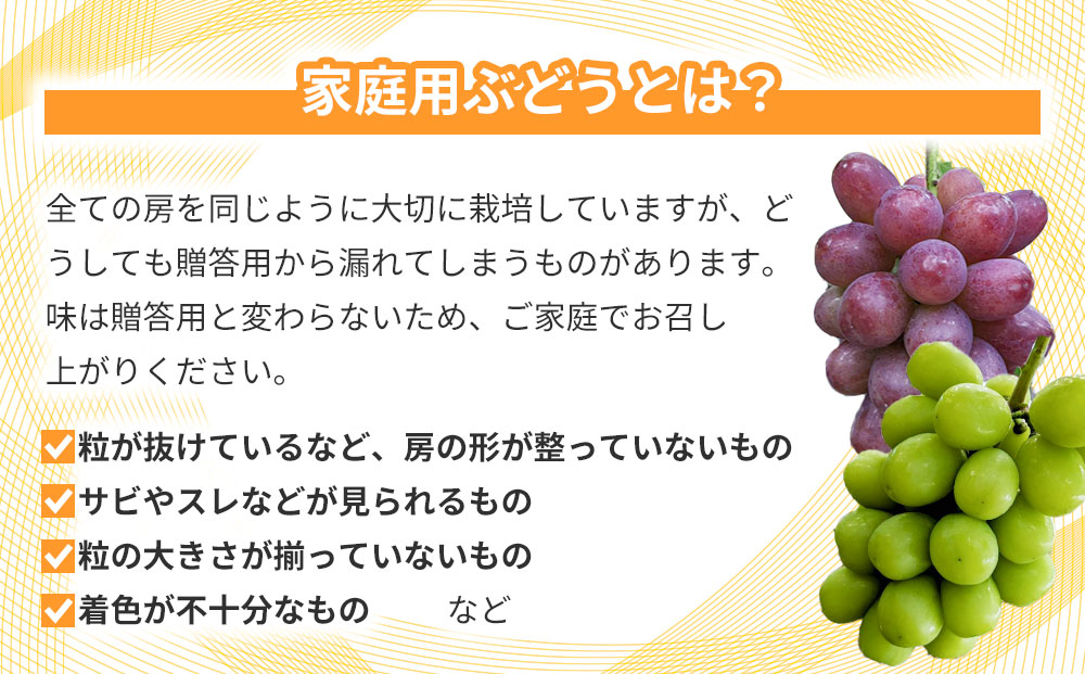 【とねが果樹園】家庭用　シャインマスカット＆クイーンルージュ(R)各1房、合計2房（合計1kg以上）※2025年9月中旬以降順次発送予定（日曜日、月曜日発送限定、曜日指定不可）