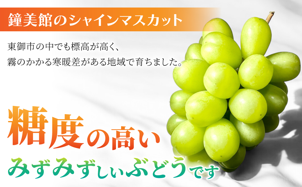 【鐘美館】標高750mで育ったクリスマスシャインマスカット4キロ以上（8～10房） ※2025年12月22日発送