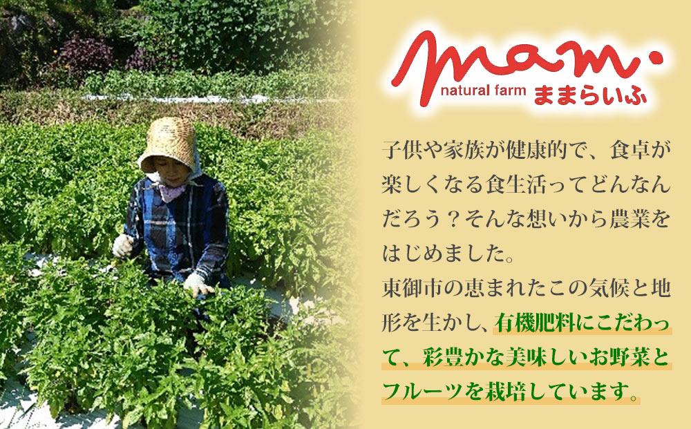 【ナチュラルファームままらいふ】くるみのジェノベーゼ 3個セット