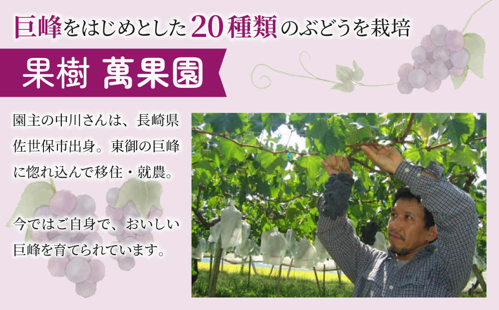 巨峰ジュース2本・巨峰ジャム2個セット