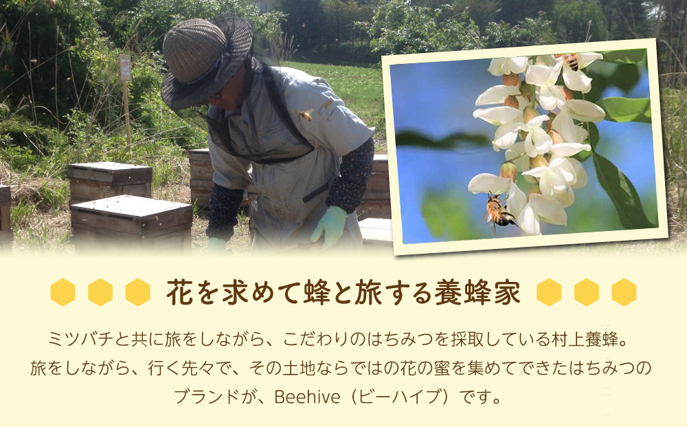 【ビーハイブ】旅する養蜂家厳選！東御市産アカシアはちみつ600g