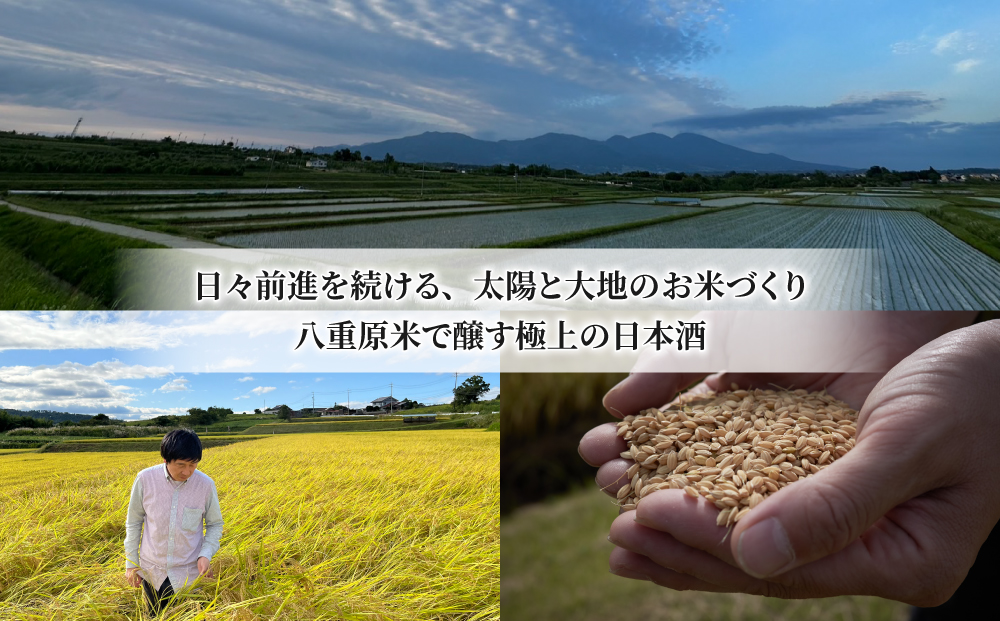 【大信州酒造】GIヒカリサス｜八重原産 夢見錦でできた初めての日本酒