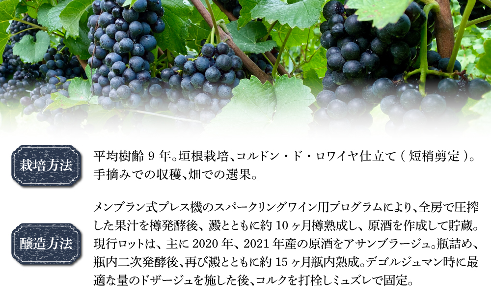 【ぼんじゅーる農園醸造所】ミノワ ブラン・ド・ノワール ブリュット 1 本| スパークリングワイン 国産 長野県 お酒