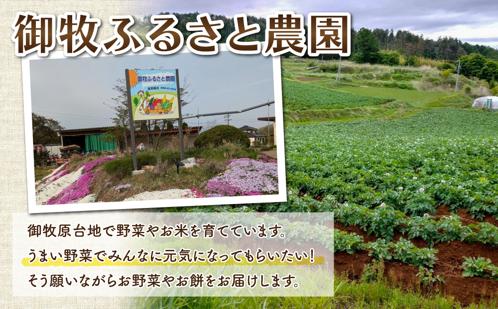 【御牧ふるさと農園】お餅セット3kg（ゆきもち、きびもち、玄米もち、豆もち）　※2025年12月より順次発送予定　※着日指定不可
