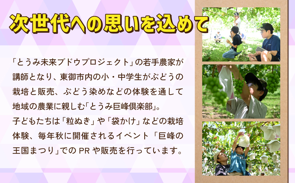 ぶどうの産地を応援！！とうみ未来ブドウプロジェクトと子どもたちが送る　種なし巨峰 3房（約1.1kg）【秋お届け】｜長野県 人気 ぶどう 贈答用 ギフト フルーツ 果物 おすすめ 厳選 種無し 大粒